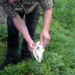 phoca_thumb_m_vp -3. den 81 Fotogalerie